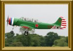 q-Yak52l-green-011fr.JPG